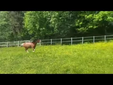 Nowy nabytek - AQUA-TEX Igor